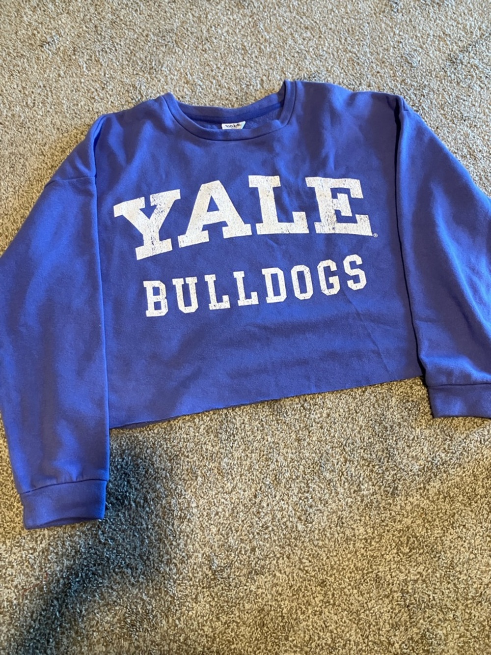 YALE UNIVERSITY BULLDOGS CROPPED SWEATER OVERSIZED XL PURPLE